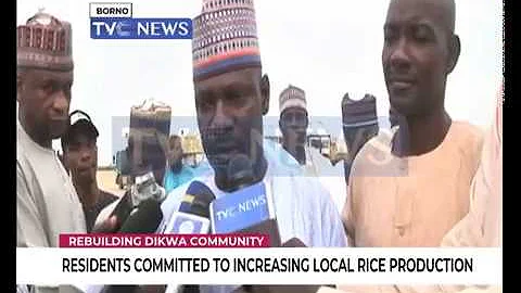 Borno Governor rebuilds Dikwa community after Boko Haram attacks