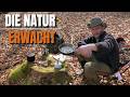 Die Natur erwacht - Wanderung im Frühling zum Berggipfel auf 700m - Camping und Kochen