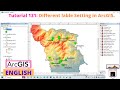 Different label Setting in ArcGIS