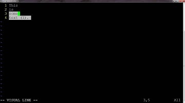 Copying and Pasting with Vim