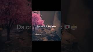 Japan 🇯🇵 @MemeZee