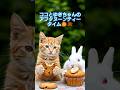 ココとゆきちゃん🐇のアフタヌーンティータイム🍪🫖☕ #猫#ai猫#料理#cat#aicat#catlovers #shortsmusic