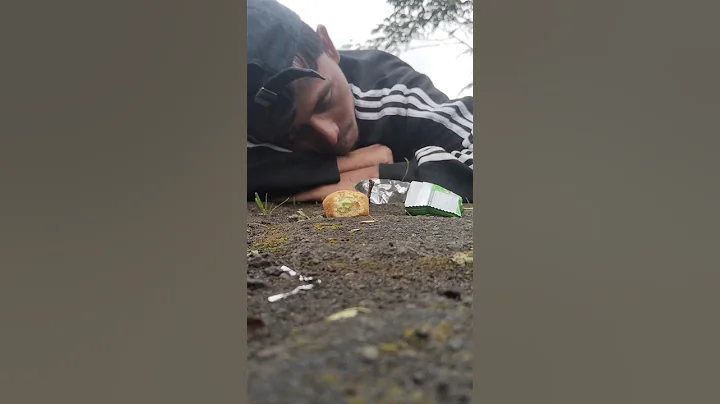 do you believe millipedes can come#millipede #shorts #shortvideo