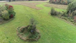 Yukon Blind 50-acre Field - Drone Video - 9-28-19