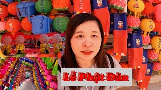 Vlog 181 : Lễ Phật Đản với đèn lồng chào đón treo khắp cả nước Hàn Quốc