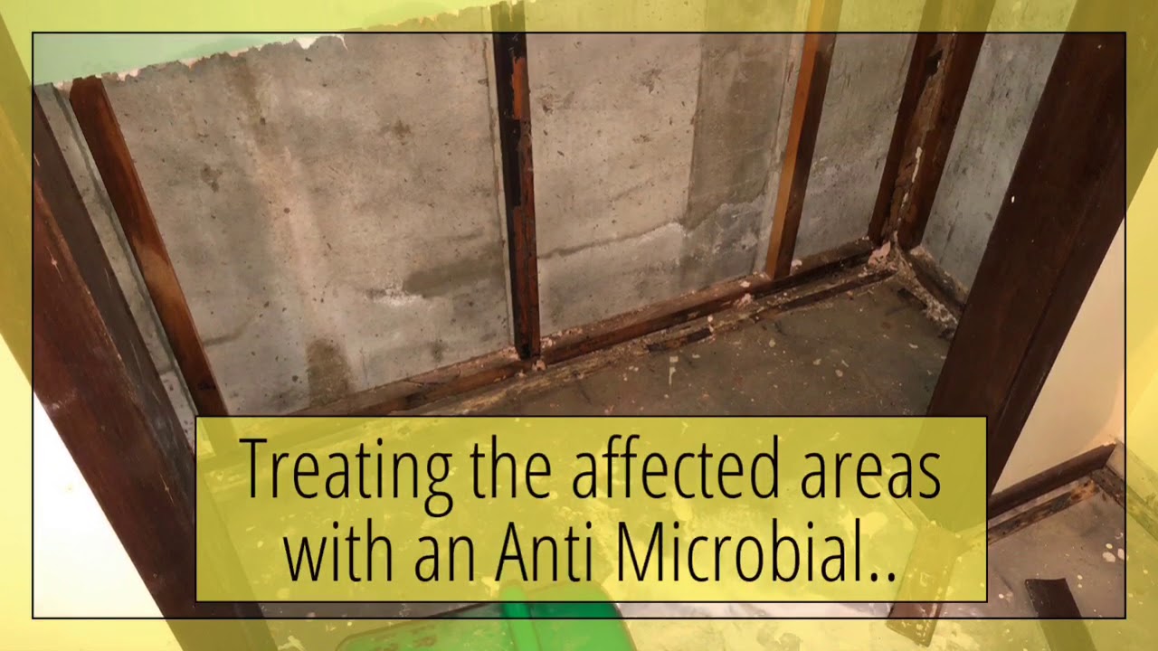 Jersey’s Elite Cleaning YouTube