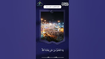 الْـحَجُّ أَشْهُرٌ مَّعْلُومَاتٌ || بصوت القارئ : فارس عبّاد