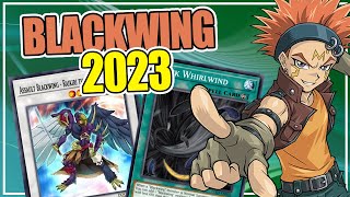 DECK BLACKWING DUEL LINKS 2023 / DECK ALANEGRAS YU GI OH DUEL LINKS 2023