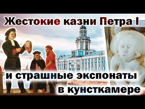 Такого вы не видели! Отправляемся в Кунсткамеру.