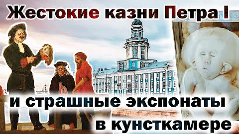 Какое метро ближе к Кунсткамере спб