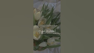 سورة نوح | احمد خضر #explore #quran