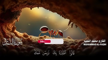 سورة النمل كاملة مكتوبة  للقارئ الشيخ محمد الفقيه  تلاوة خاشعة ومؤثرة😌💚