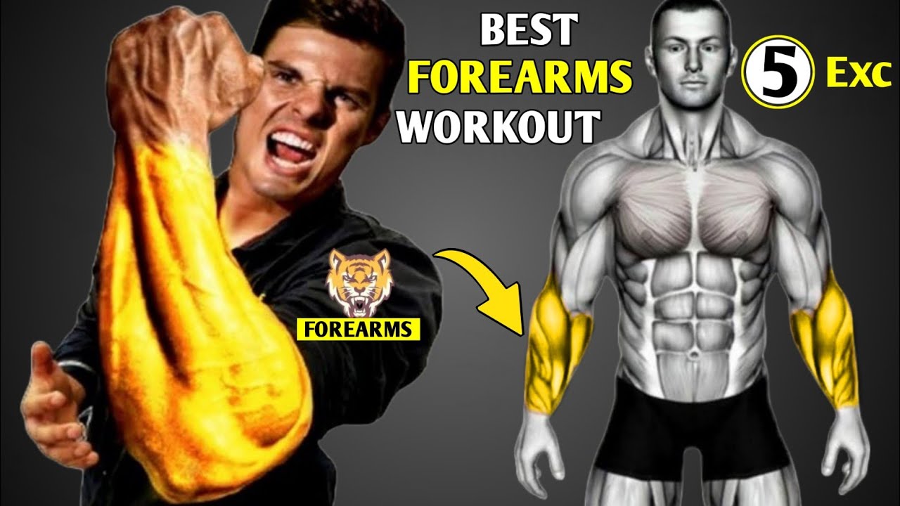 5 Best Exercises for Bigger Forearms fast - go go gym go - YouTube