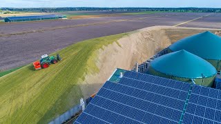 Kloosterman Biogas | Maize Silage + Pit Work | Mais inkuilen | Silo fahren - BGA | Agriculture