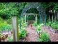 Kitchen Garden and a Spinach Smoothie