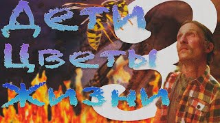 видео: Осиная Фабрика - Иэна Бэнкса/персказ сюжета картинка: Осиная Фабрика - Иэна Бэнкса/персказ сюжета