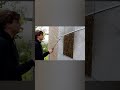 What is moss growing concrete?