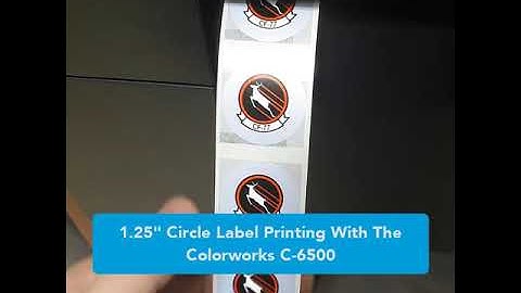 Epson Colorworks C6000 C6500 Printing Circle Labels