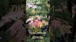 Любите ли вы дождь, так как люблю его Я❓❗#дождик
