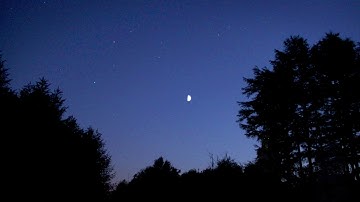 hvíldarlauss dauðr - Orbits