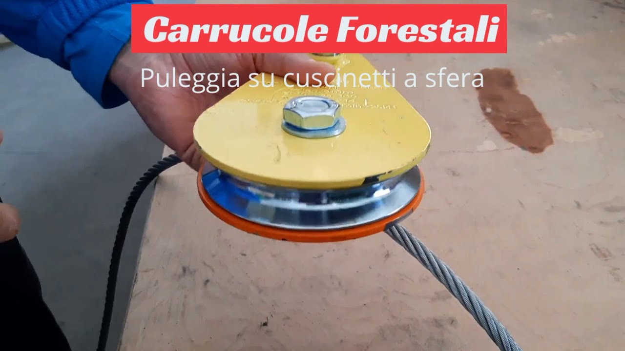 Carrucole Forestali 