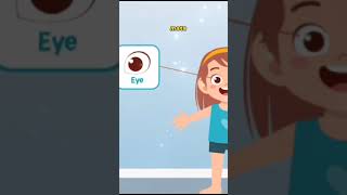 Download Lagu Anak Belajar nama anggota tubuh dalam Bahasa Inggris | Body Part - Short Kidnetz MP3