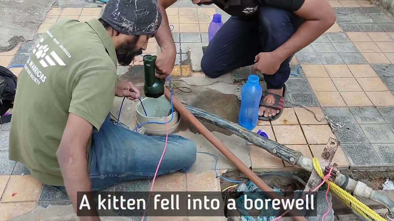 インドで子犬の救出を見守る母犬が感謝を伝えて去る動画 最新時事情報を速報するカレントブログ