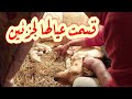 الكلبه اللي ولدت عندنا / تسع كلاب صغيرين _ جسمهم سخن من الرعايه