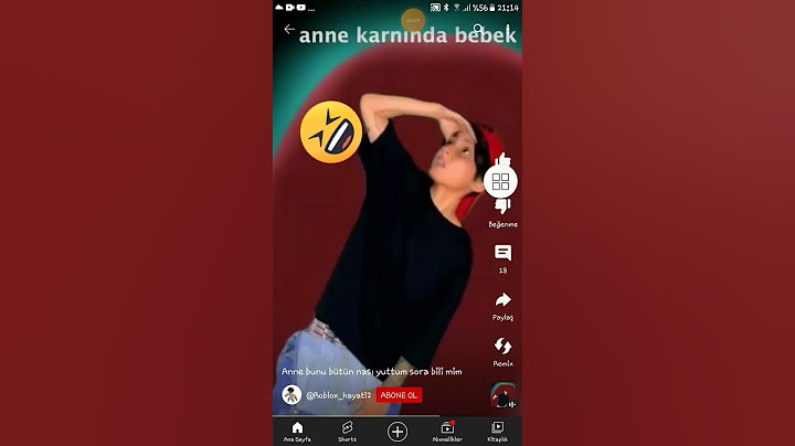 anne karnında bebek