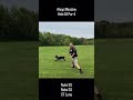 Disc Golf at Alsop Meadow - Hole 18 #discgolf #dog