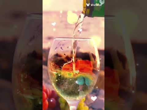 شو هل حلا كلو كولسار افا