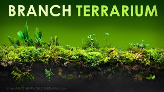 How I Made the Branch Terrarium (secrets revealed!)