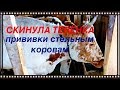 ПРИВИВКИ СТЕЛЬНЫМ КОРОВАМ.СИБИРСКАЯ ЯЗВА.НОДУЛЯРНЫЙ ДЕРМАТИТ.