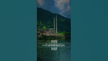 قرأن كريم القارئ الشيخ ماهر المعيقلي