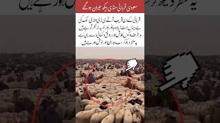 Huge Qurbani Market Full of Animals🐄#islamicvideo#trending#islamicquotes#viralvideo#amazing#news