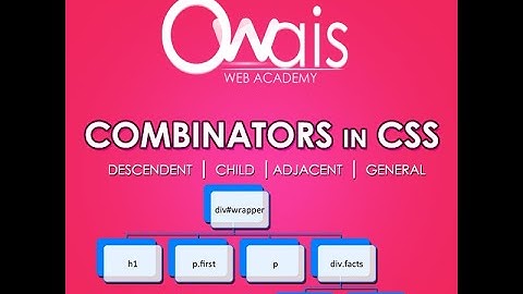 Combinators in CSS Urdu | CSS For Beginners in Urdu / Hindi