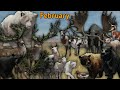 Diamond and Rare Montage for February 2024!|theHunter COTW