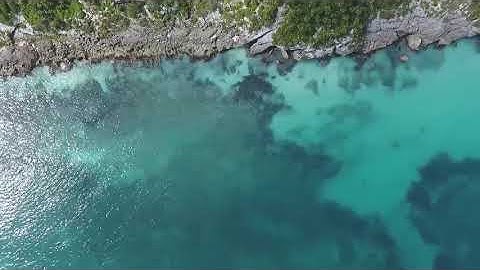 سورة الناس للشيخ أحمد الحواشي