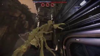 Evolve: One Step Forward, Two Steps Back | Gorgon Mimic Bug