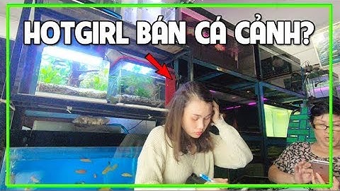 Chợ Bán Cá Cảnh Ở Sài Gòn với hàng trăm loại Cá Kiểng Đẹp Rẻ Dễ Nuôi