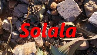 Solala by KOP  - (Walter 'KOP' Sithole)