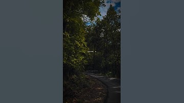 Waalian ( slowed & reverb ) - Harnoor | #waalian #harnoor #waalianlofi