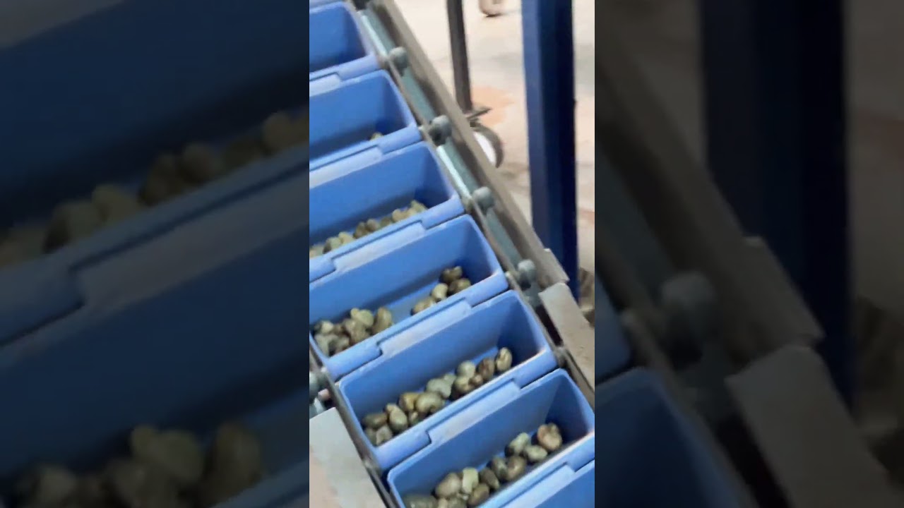 CASHEW NUT DESTONER WITH WATER WASHING TECHNIQUE