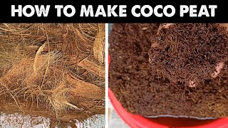 Easy Way To Make Cocopeat At Home | How to make Cocopeat from coconut, how to make Cocopeat at home