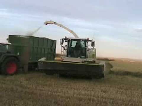 webber contracting cutting wholecrop