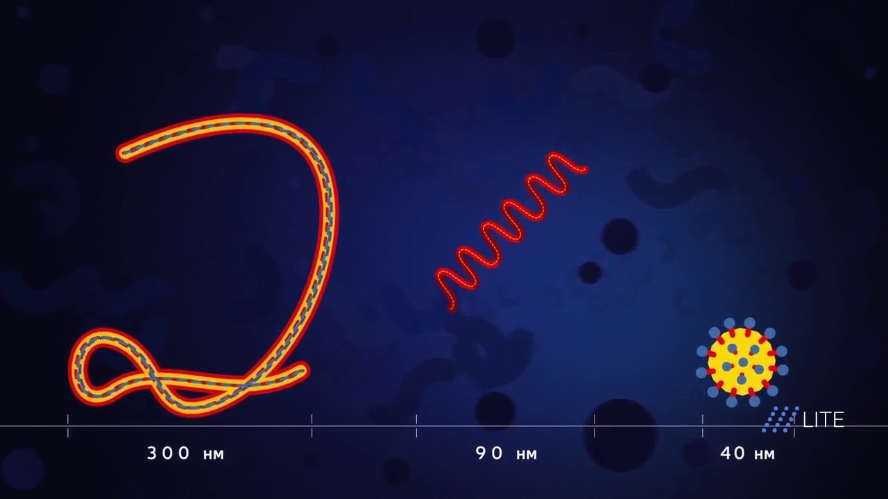 Вирусы что о них известно и почему с ними трудно бороться - YouTube