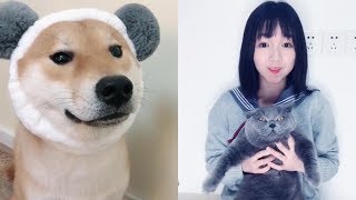 Funny Pet Videos Compilation P5
