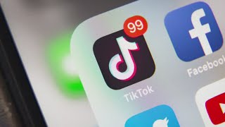 Presidential efforts are being made to delay the ban on TiTok