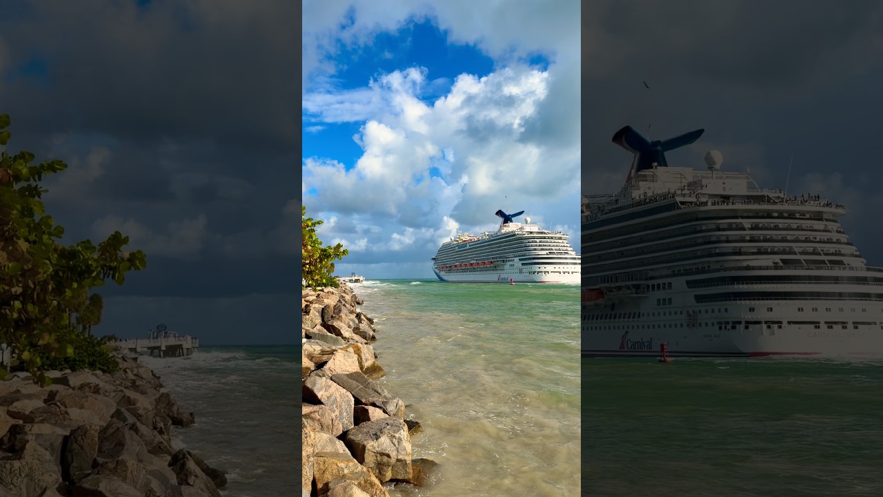 Carnival Magic 🚢 #fun #carnival #travel #shorts #yt