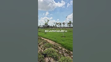 سورة إبراهيم الشيخ المنشاوي #قران_كريم #قرآن #المنشاوي #سورة_إبراهيم #سبحان_الله